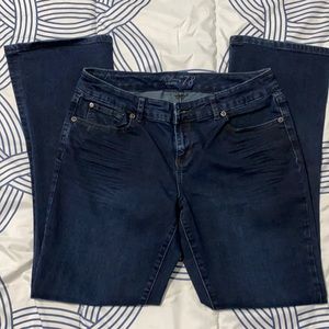 The Limited Denim Jeans Size 10S